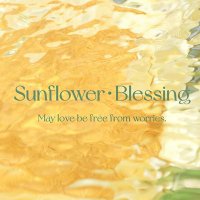 Sunflower_Blessing (@sunflower913302) 's Twitter Profile