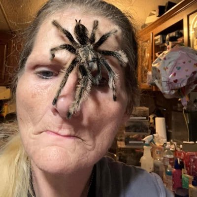Give me liberty or give me DEATH! Gang rape survivor by 3 illegal aliens #TarantulaKeepers #1A #2A #BlueLivesMatter #MAGA #ExoticPets