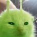 Kozatchu (@kozatchu) Twitter profile photo Kozatchu (@kozatchu) Twitter profile photo