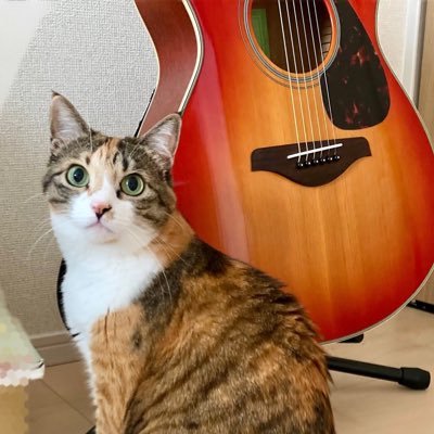 猫神きらら☆さんのプロフィール画像