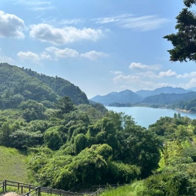 のらさんのプロフィール画像