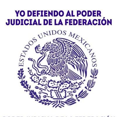 Amplio abanico de intereses, política, economía, derecho, P.P., tecnología , S.P. trabajando para mi México. Opiniones 100% a título personal #YoDefiendoalPJF
