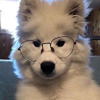 goofypubby (@goofypubby) 's Twitter Profile Photo goofypubby (@goofypubby) 's Twitter Profile Photo