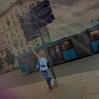 zerrinn (@zerrincali) 's Twitter Profile Photo