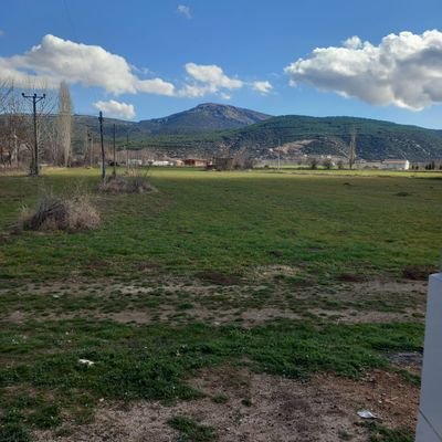 SerkanGul88962's profile picture. 