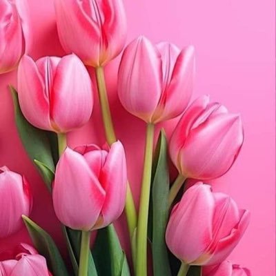 rashamahmoud82's profile picture. استاذة و مدربة الخط العربي و دورات خط النسخ والرقعة  بالقلم العادي اونلاين #دراسة خط # تدريس جميع الخطوط #اوفلاين