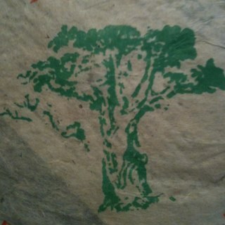 DiZcore's profile picture. 