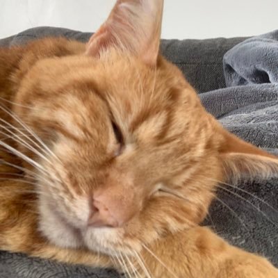 chclems62's profile picture. J'ressemble à l’œuf Twitter et toi?