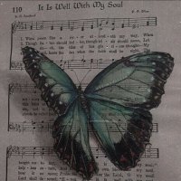 ら (@hqb1dp98la45555) 's Twitter Profile