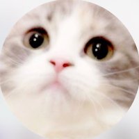 1⃣0️⃣🩷末永光 (@suenyagakun) 's Twitter Profile Photo 1⃣0️⃣🩷末永光 (@suenyagakun) 's Twitter Profile Photo