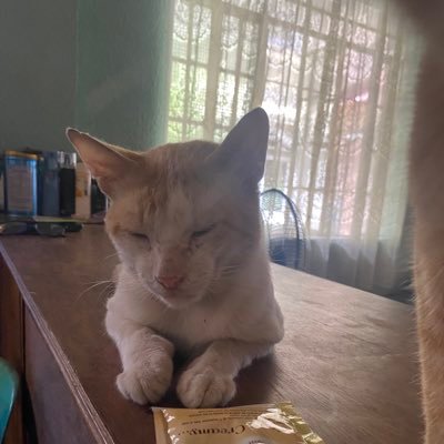 sdg18_'s profile picture.