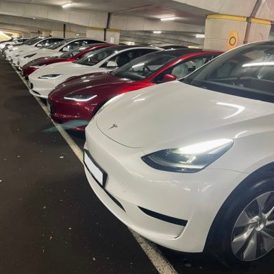 Here to watch the spectacles of Donald Trump & Elon Musk ⚡️ $TSLA ₿itcoin $BTC Investor ⚡️ Reform Advocate 🇬🇧