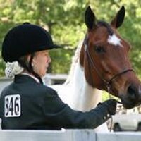 Laureen Fisher (@tobiano) 's Twitter Profile