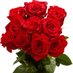 Amal (@benyounes_amal) Twitter profile photo Amal (@benyounes_amal) Twitter profile photo