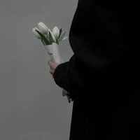﮼نِ ✯﮼ (@gi_9u) 's Twitter Profile