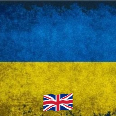 SteveTheG33k's profile picture. #IStandWithUkraine