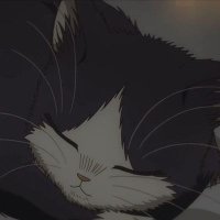 vira (@manonnitsme) 's Twitter Profile