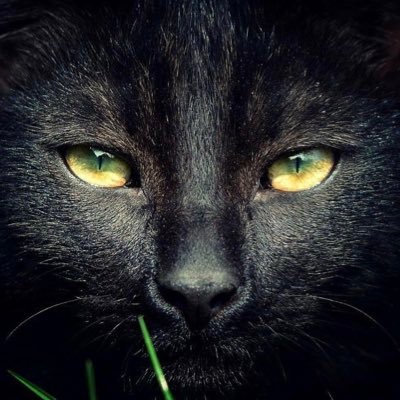 athVP_hh's profile picture. Final and Insurance