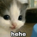 hehe (@jonatha05010643) Twitter profile photo hehe (@jonatha05010643) Twitter profile photo