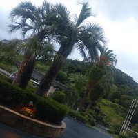 さとし (@2u_cot) 's Twitter Profile