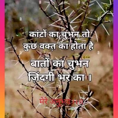 Sandip32029771's profile picture. 