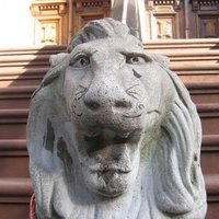 まさき (@masaki_fyi) Twitter profile photo