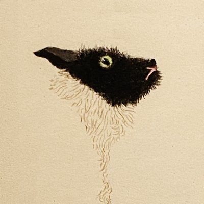 pankomedia's profile picture. 京都の街中の小さな劇場カフェ･モンタージュ @CafeMontage のオーナーです。この頃は午後1時からカフェにいます。