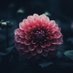 Pia | ⚔️🌼⚔️ (@pia_oesterlind) Twitter profile photo Pia | ⚔️🌼⚔️ (@pia_oesterlind) Twitter profile photo