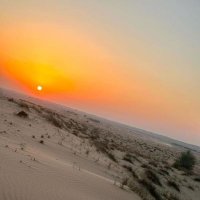 Winfred (@lisawinfred) 's Twitter Profile