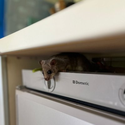 lJohnDoel's profile picture. Who am i? If so, how many