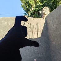 منَّةُ اللّه هاشِم (@mennahashem8) 's Twitter Profile Photo