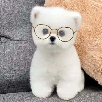 Blockchain dev Profile