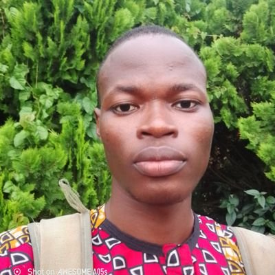 taiwo_ades39428's profile picture. || A Christian || CEO, Luminous Impact Tutorial || Academic coordinator || Medical student @IFUMSA || Tutor || Graphic Designer ||
