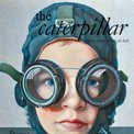 The Caterpillar 🐛 (@thecaterpilla20) 's Twitter Profile Photo The Caterpillar 🐛 (@thecaterpilla20) 's Twitter Profile Photo