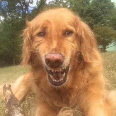 yabboys's profile picture. 구독계입니다