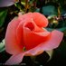 Marthamariamora (@marthamora58) Twitter profile photo Marthamariamora (@marthamora58) Twitter profile photo