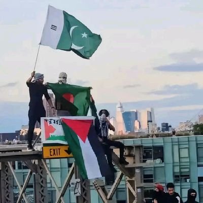 SakibJain's profile picture. MUSLIM👨‍⚕️
From:BD🇧🇩