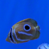 りょう (@2p9pgsdq0a62395) 's Twitter Profile Photo