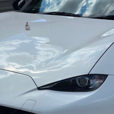 Sue__0209's profile picture. 98'(27) / R7.1.6🎀(10m) / 無言フォロー失礼します( ´･･)