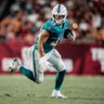 haydenrucci's profile picture. University of Wisconsin Alum | Miami Dolphins TE
