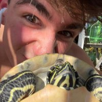 marc☀️ (@maarcsol) 's Twitter Profile