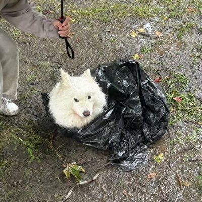 cigjayler02's profile picture. เป็นเพียงวันวาน ไม่หวนคืนมาในปัจจุบัน