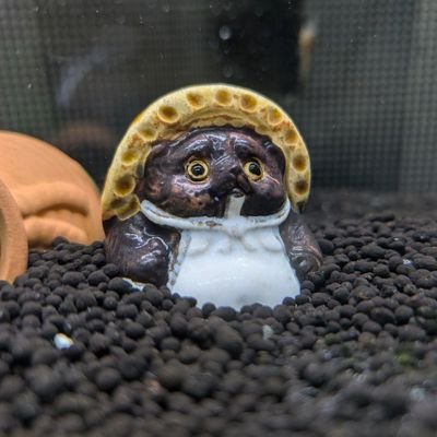 バン太郎さんのプロフィール画像