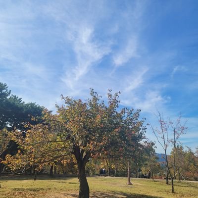 khhsun80's profile picture. 나비의 작은 날개짓이 엄청난 파장을 만들 수 있듯이 소소한 것들이 우리의 생각을 변화시킬 수도 있겠죠^^