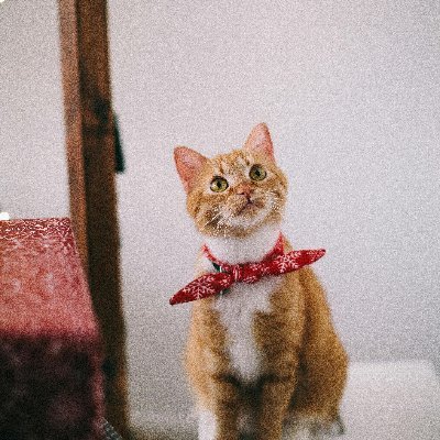 lucasmoore96423's profile picture. 