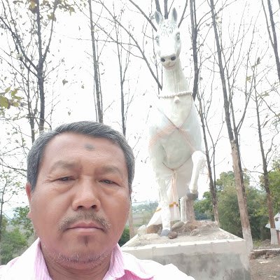 YPramannanda's profile picture. 