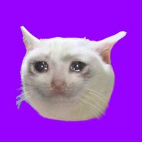 crying cat (@savecryingcats) 's Twitter Profile Photo crying cat (@savecryingcats) 's Twitter Profile Photo