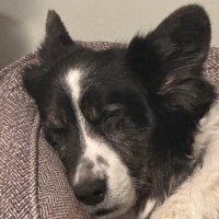 Bob (@jackpowersphd) 's Twitter Profile