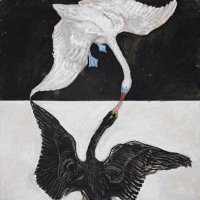 orrisandiris 🦪🩰🦢🍸 (@orrisandiris) 's Twitter Profile Photo orrisandiris 🦪🩰🦢🍸 (@orrisandiris) 's Twitter Profile Photo