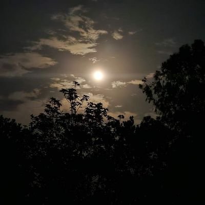 MArinda88583's profile picture. Jai Bhawani 🚩🙏